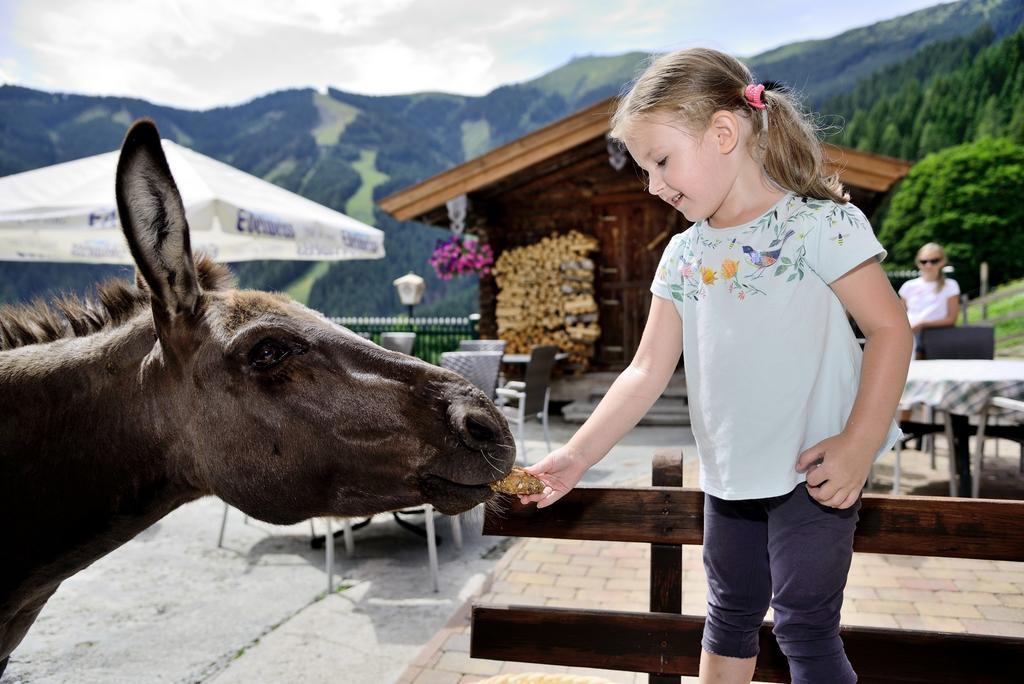 Jaga-alm Zell am See
